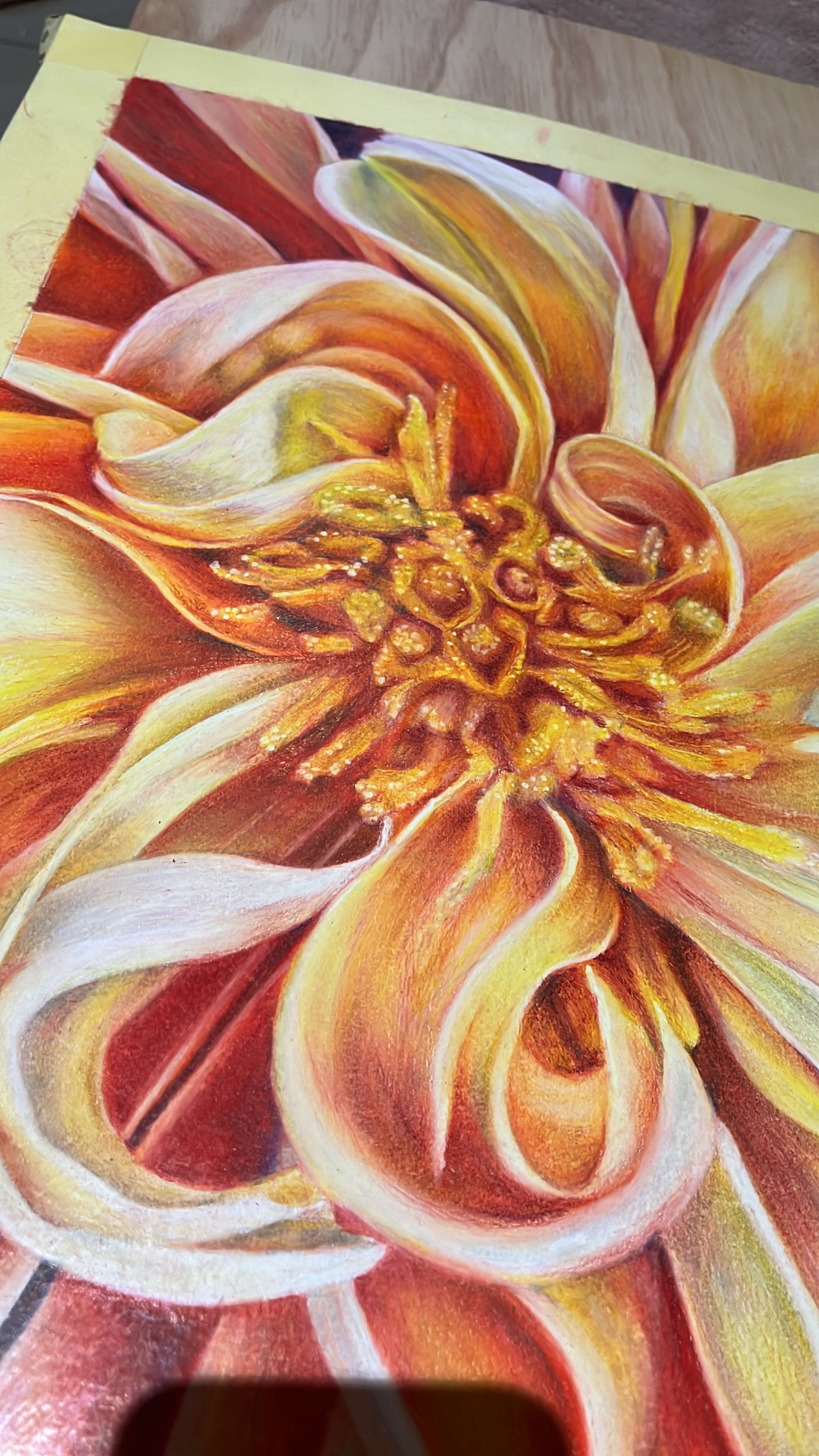 Chrysanthemum, botanical art