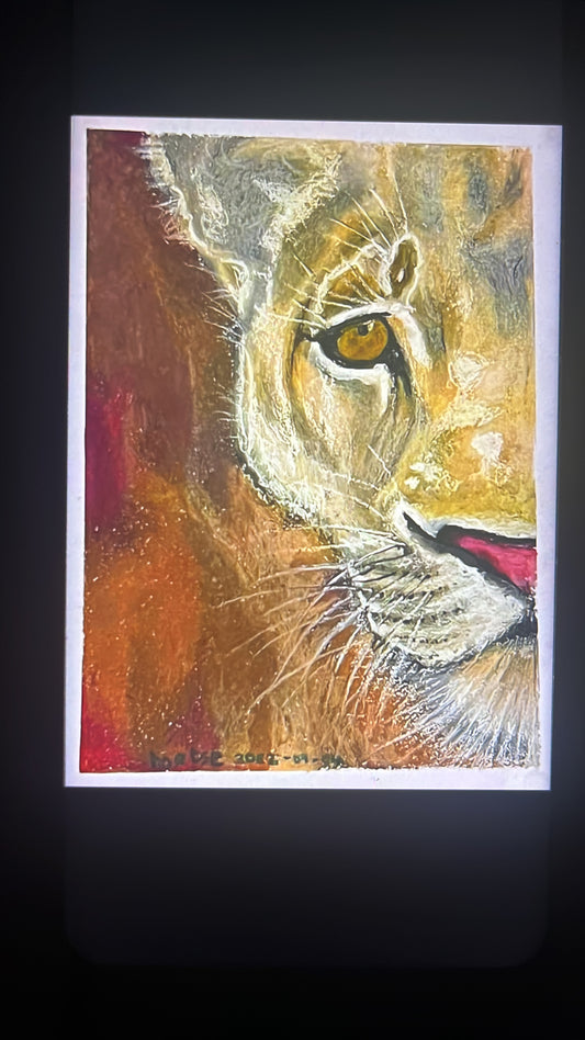 Lioness oil pastel painting, giclee fine art print